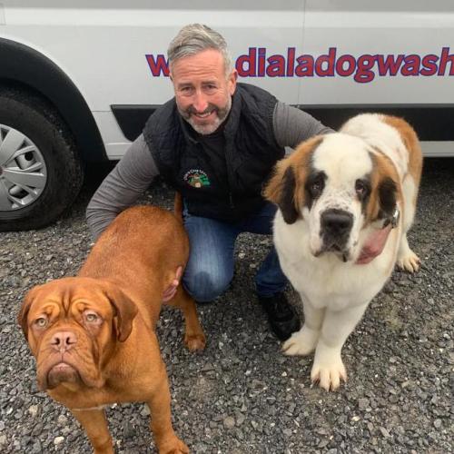 Ken Roche | Dial a Dog Wash Cork City and County