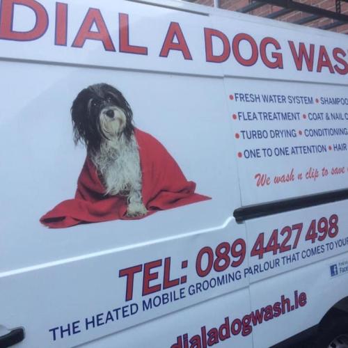 Majella Moore | Dial a Dog Wash Waterford and South Tipperary
