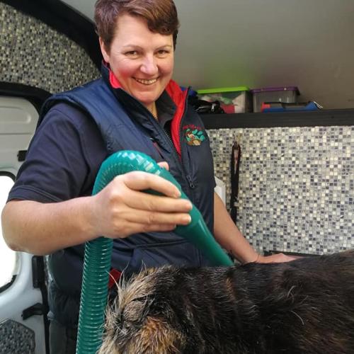 Stephanie and Claire Hevey | Dial a Dog Wash Meath and Cavan